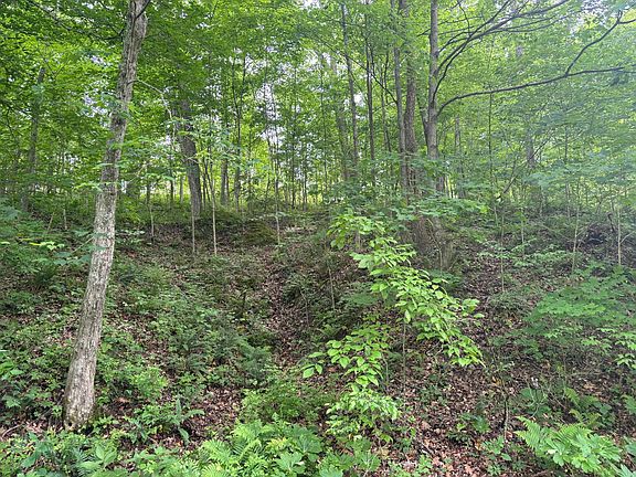 2nd image of 31551 Bensonhaver Rd