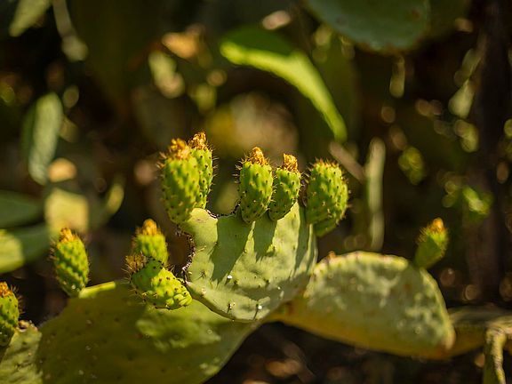 2nd image of 1 Hendrickson Rd