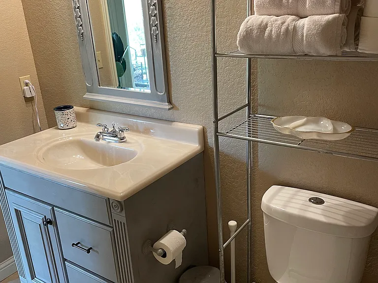 Vanity and updated toilet