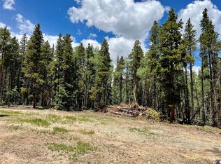 43 Elk Ln, Fairplay, CO 80440
