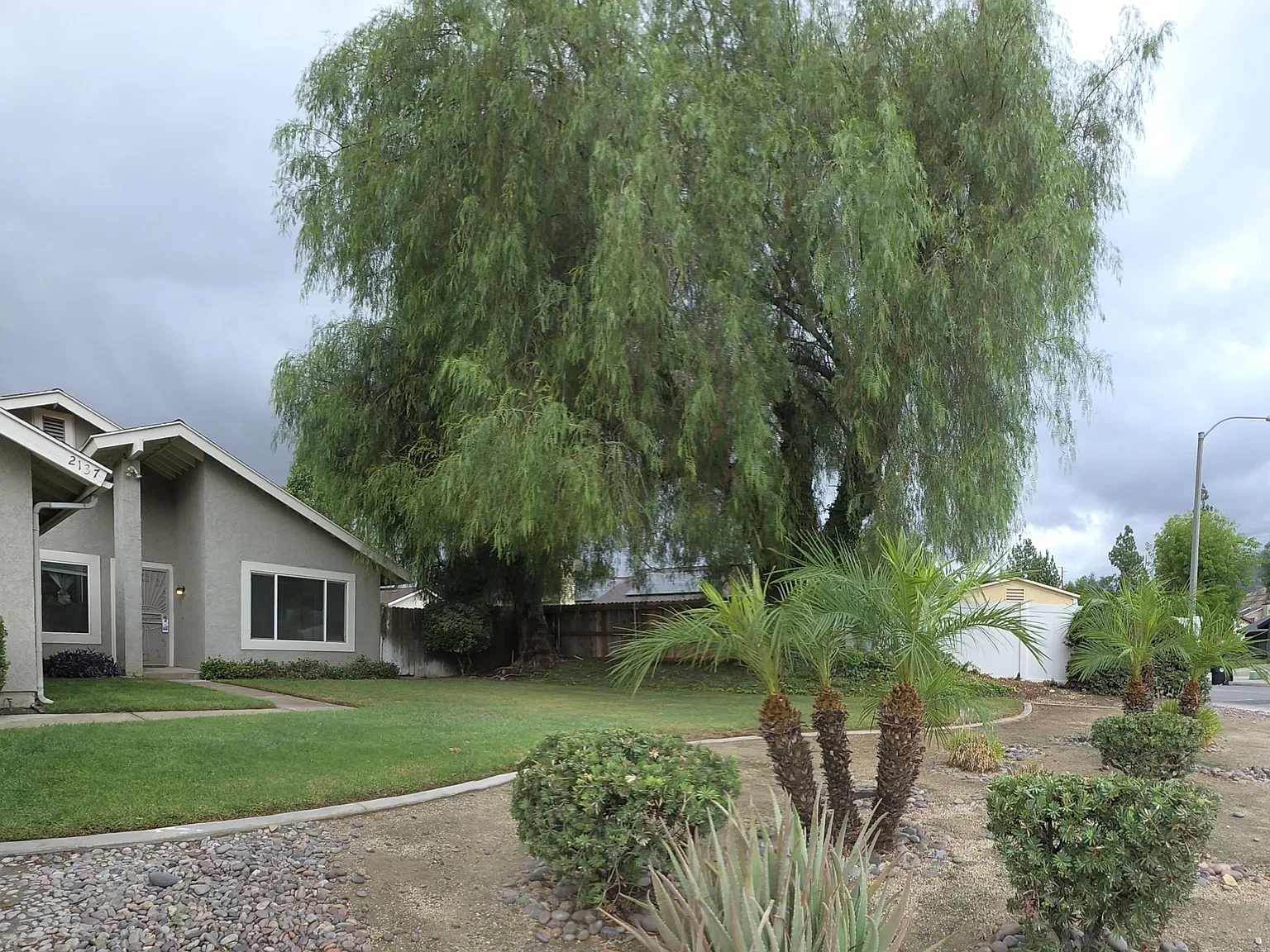 3 bed, 1440 sqft, $3,000 — Photo 3