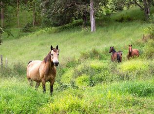 Pohakea Mauka Rd LOT 2, Paauilo, HI 96776