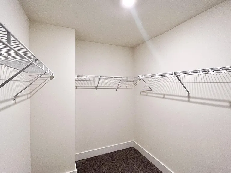 Primary Bedroom Closet