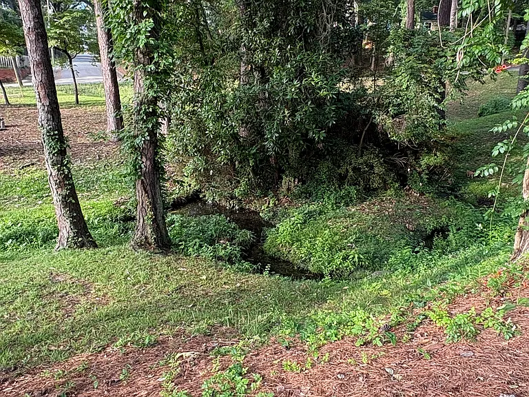 1004 Pine Hill Rd — Photo 37