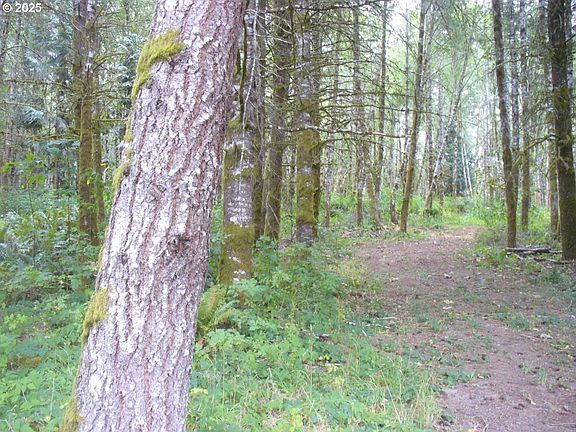 3rd image of 0 Old Rainier Rd