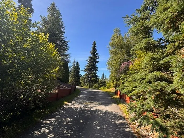 10100 Zermatt Cir — Photo 49