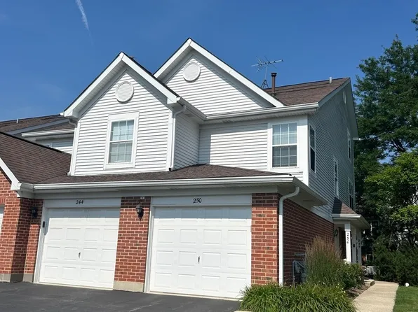 250 Ashbury Ln E #250, Roselle, IL 60172