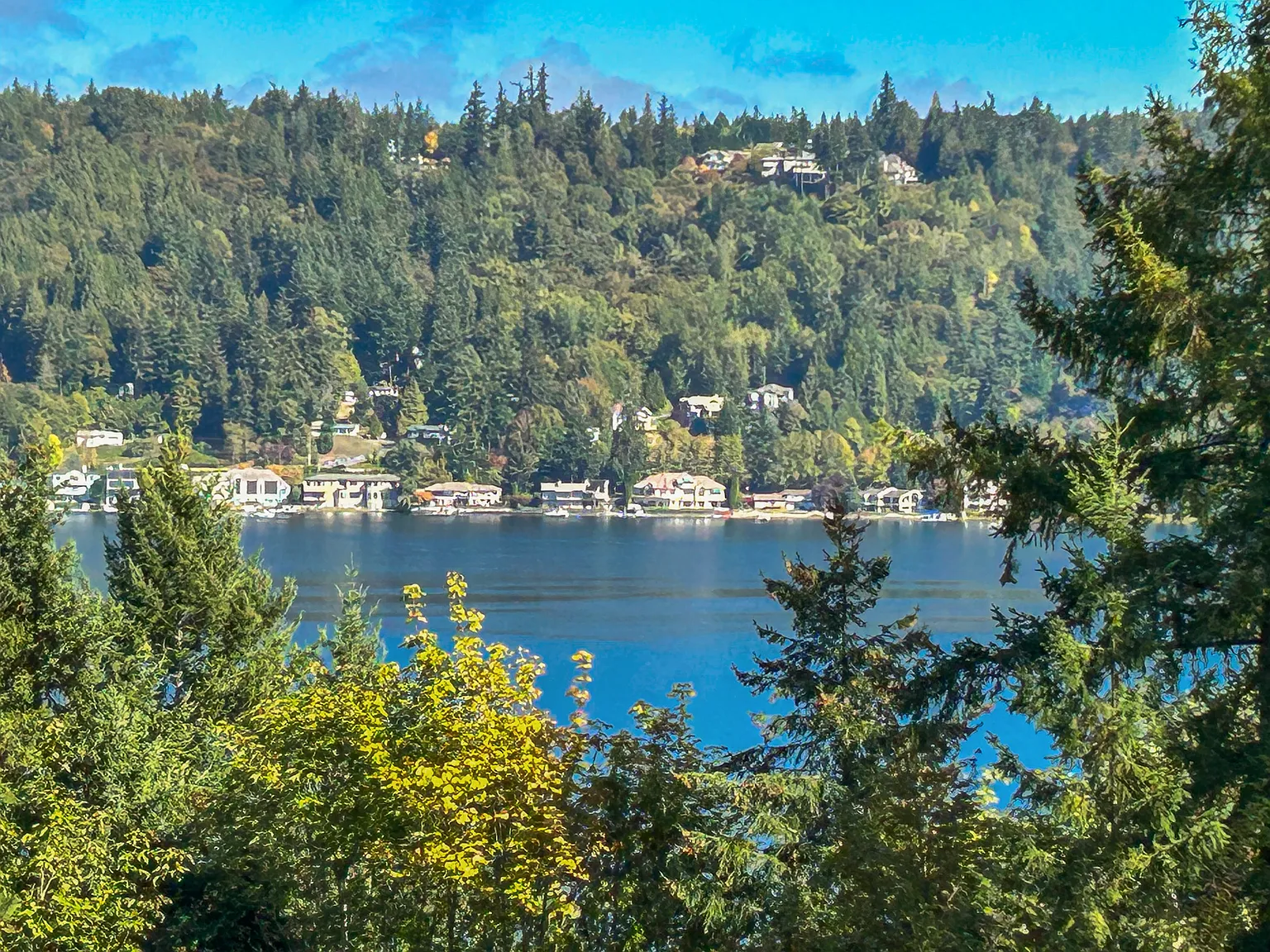 1 bed, 700 sqft, $2,595 — Photo 1
