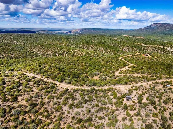 1399 N Thunder Ridge Ranch Rd, Seligman, AZ 86337