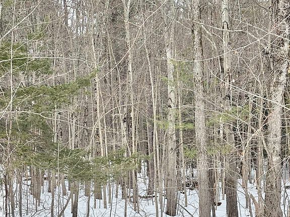 3rd image of 79-1 Currier Road