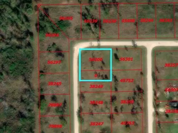 Tbd Falcon Pt, Onalaska, TX 77360