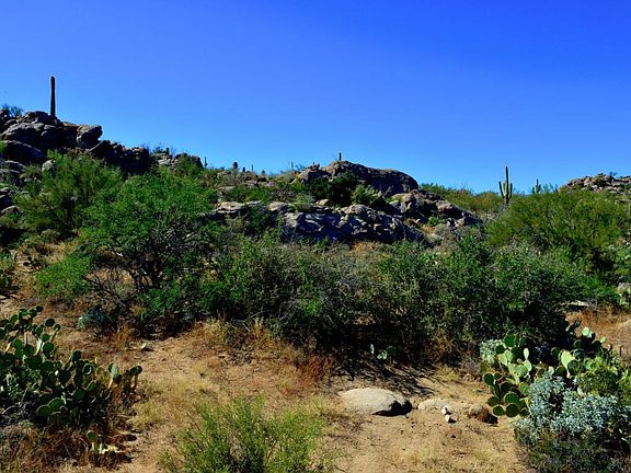 2nd image of 1372 W Tortolita Mountain Cir