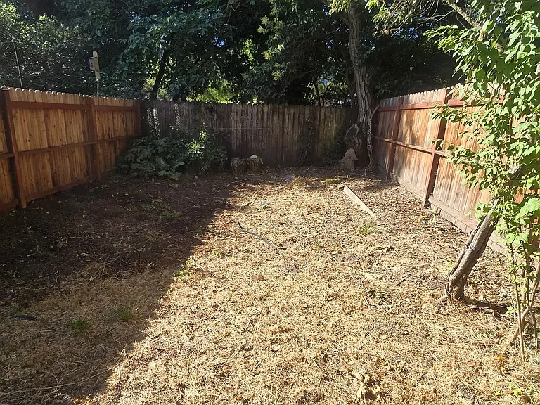 7321 Bodega Ave — Photo 30