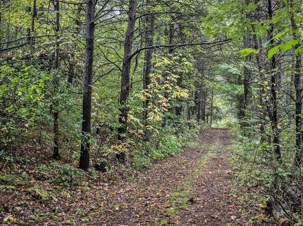 Collier Ave, Battle Creek, MI 49017