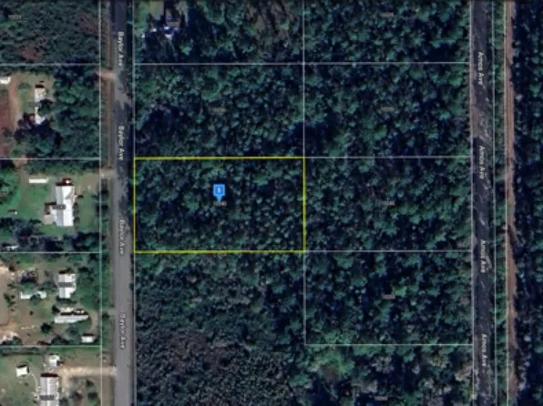 10240 Baylor Ave, Hastings, FL 32145