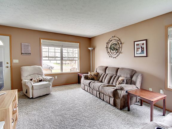Plush Carpet