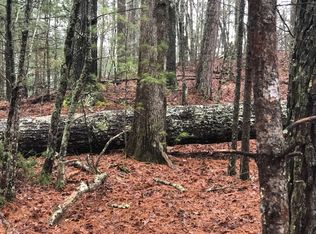 Gibe Ct, Ellijay, GA 30540