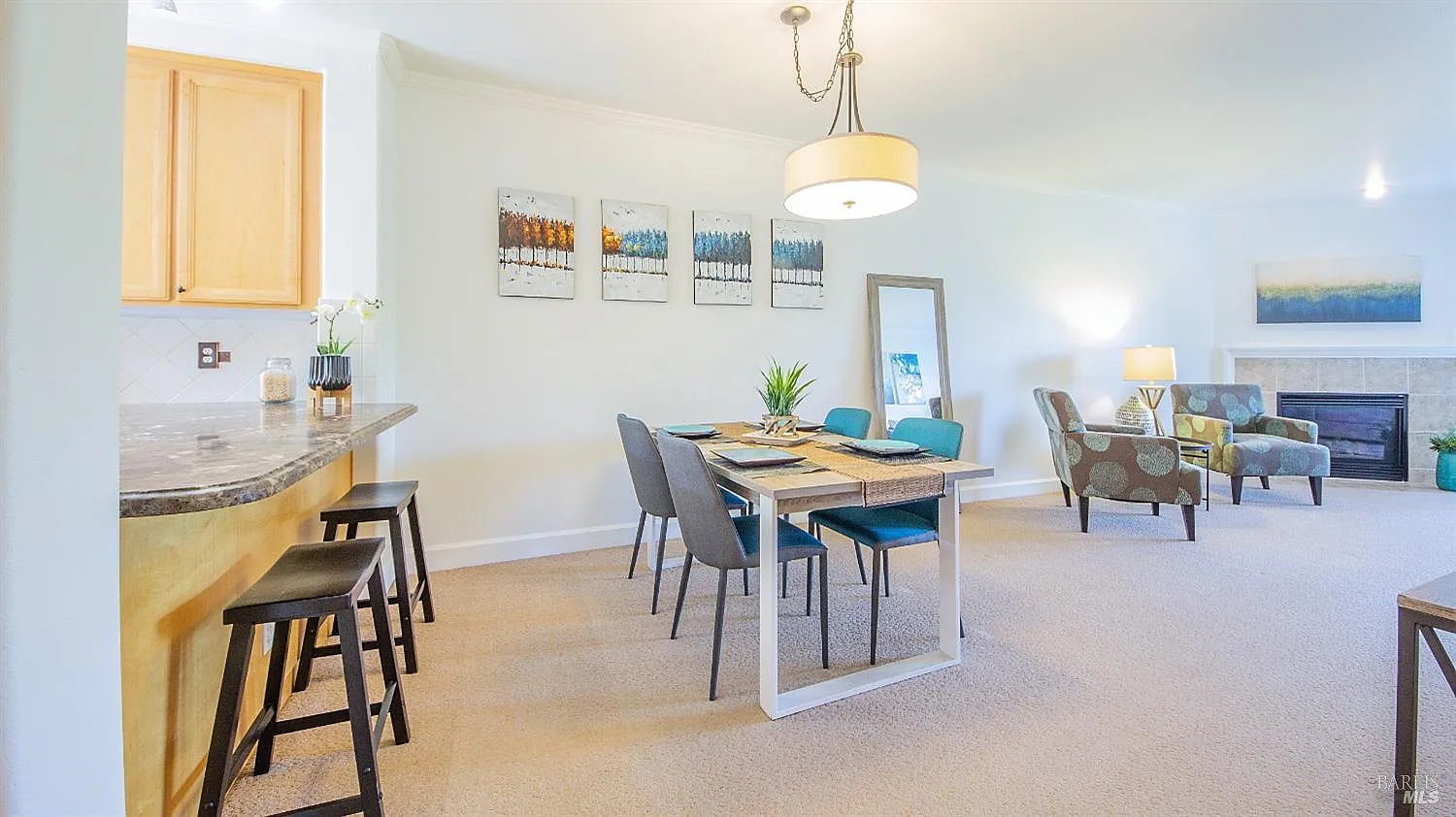 1587 S Novato Boulevard #307 photo 1