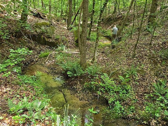 5th image of 516 Franklin Finley Rd