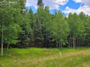 662 Spring Valley Ln, Florissant, CO 80816