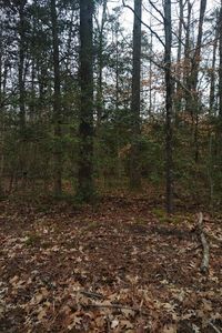 16 Wildwood Dr, Colonial Beach, VA, 22443