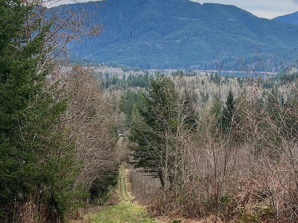 1st image of 0 XXX Mountain Highway E