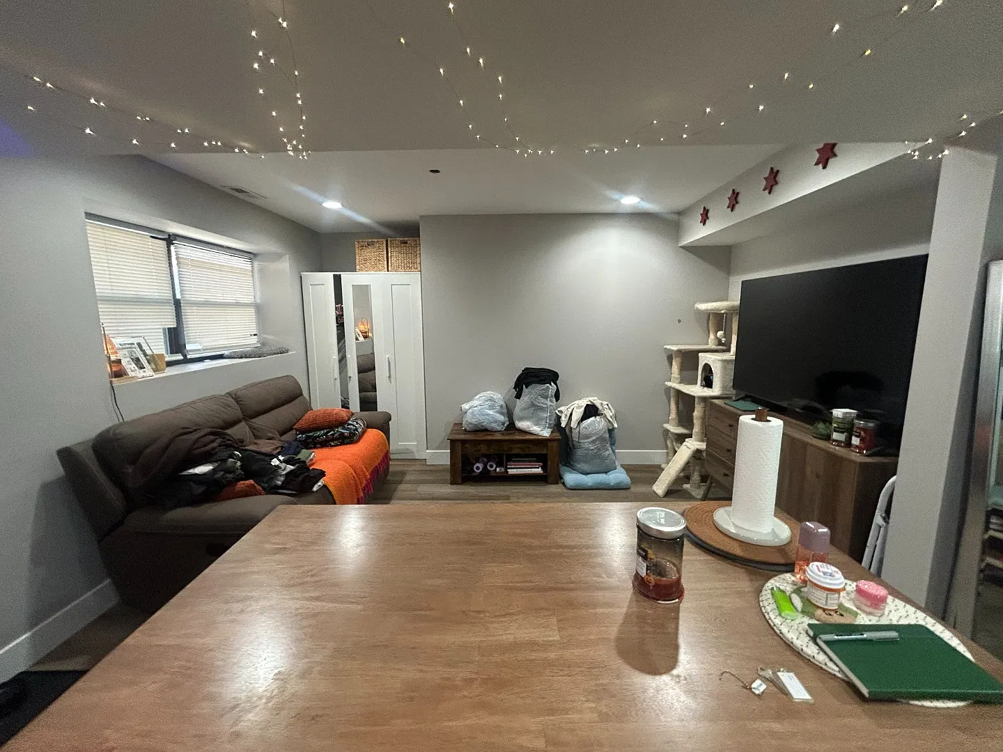 Updated 1bd/1bth Garden Unit ADU - Specific requirements! Avail 11/1 — Photo 2