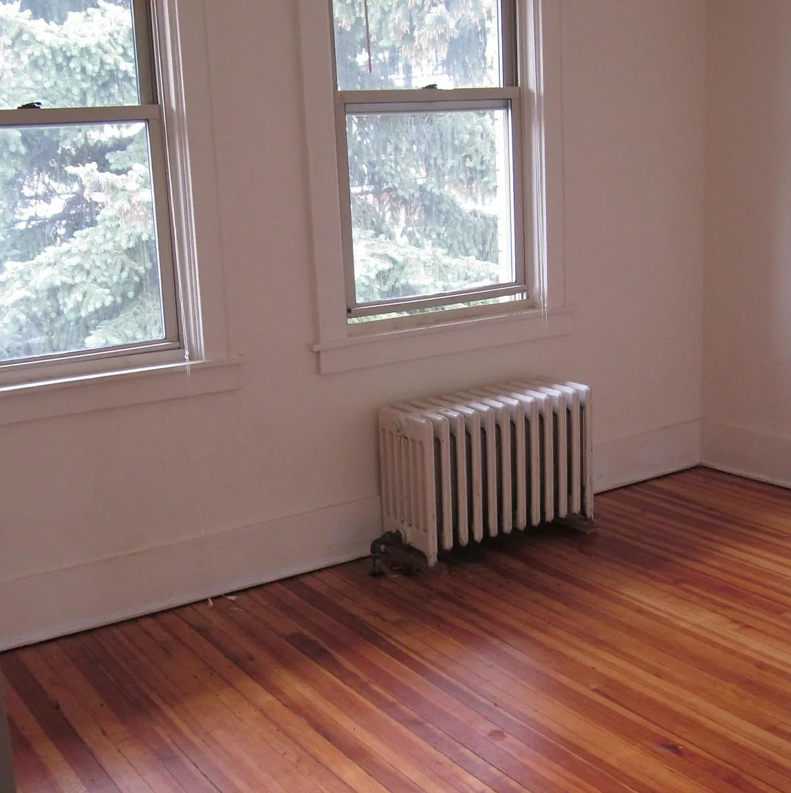 236 Spencer ave — Photo 3