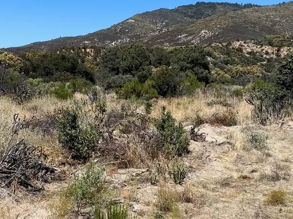 1 Old Forest, Anza, CA 92539