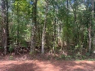 2nd image of 0 Lock Rd #2