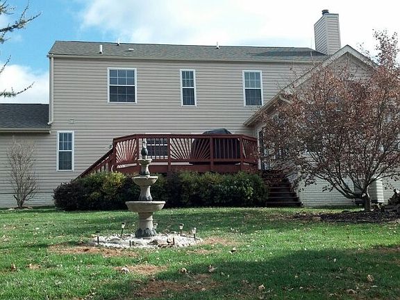 back view
