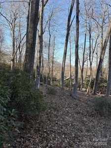 0 Fairway Loop #6, Burnsville, NC, 28714