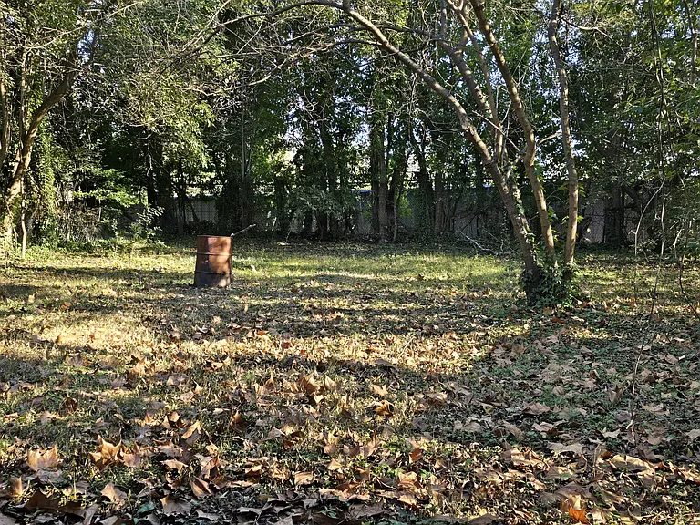 Backyard looking toward fence