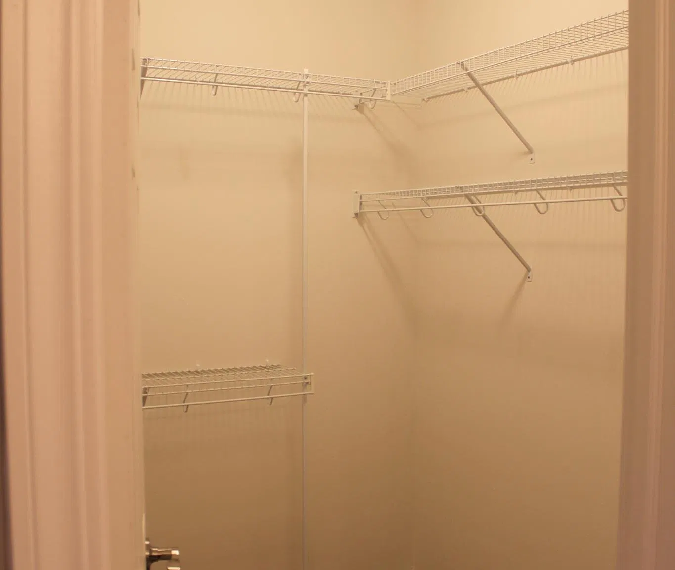 3 bed, 1400 sqft, $2,000 — Photo 4
