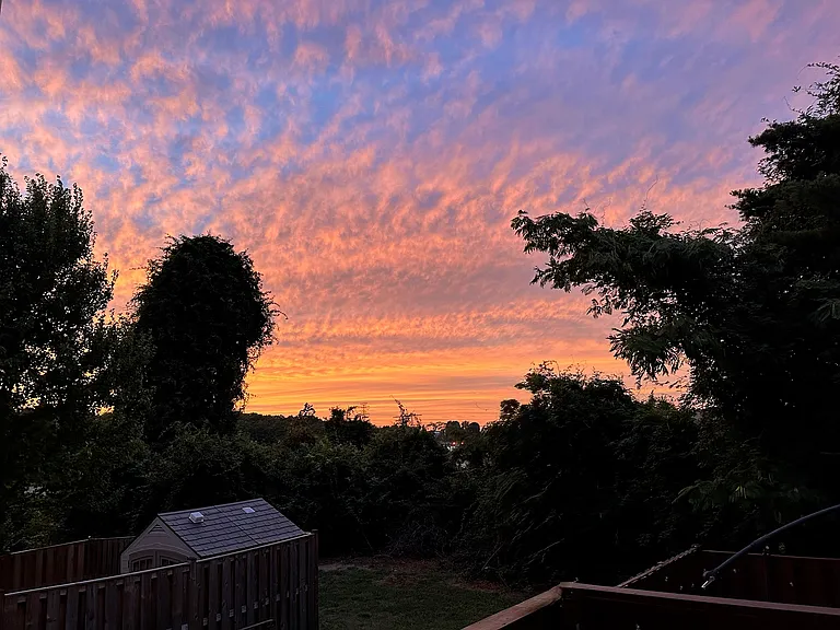 View from Deck