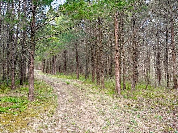 3rd image of 1600 Magee Jones Rd