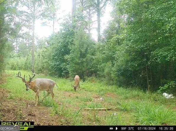 0 Seven Islands Rd, Madison, GA 30650