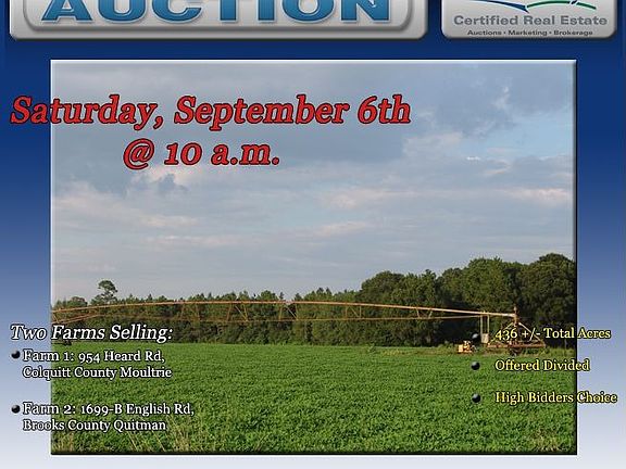 Georgia Land Auction Georgia Real Estate Auction and Georgia Land For Sale