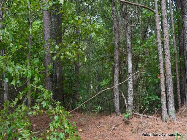 129 Patricia Dr, Roebuck, SC 29376