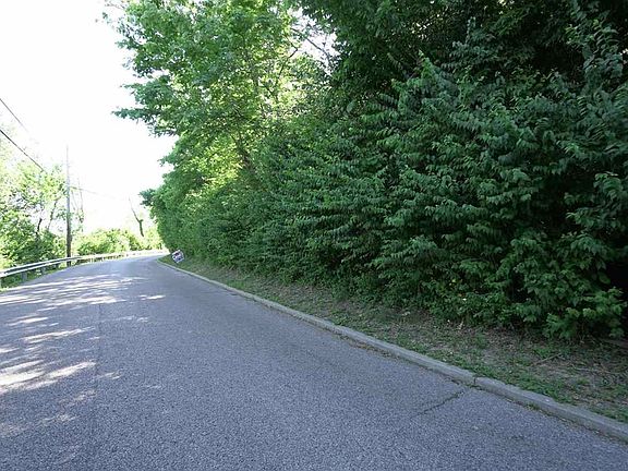 4th image of 43-46 Kentucky Dr