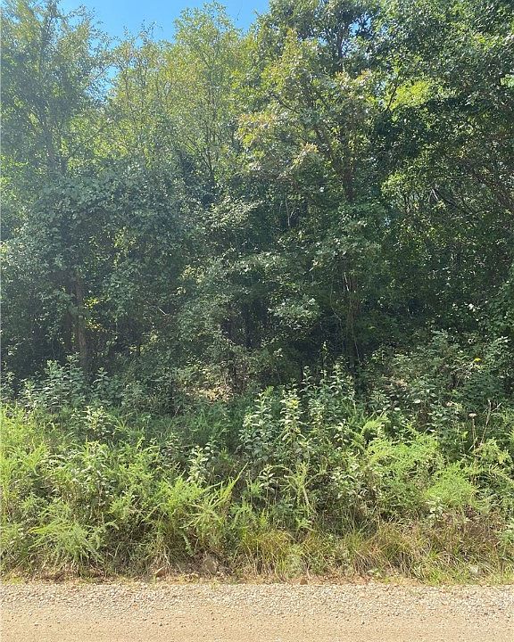 2nd image of Orr Rd