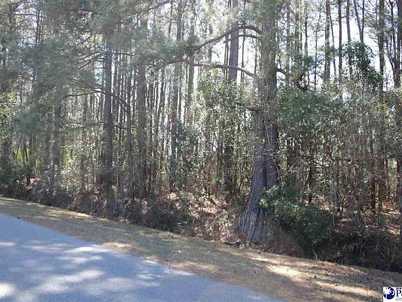 4th image of Dogwood Ln
