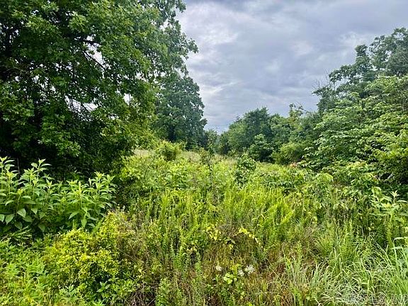 3rd image of 11878 Clinton Creek Dr
