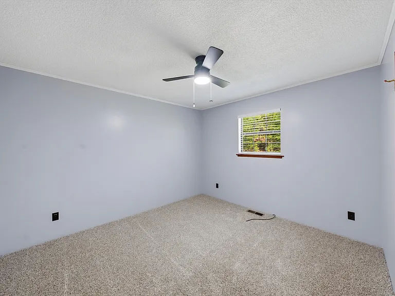 250 Goodfield Ck Rd — Photo 21