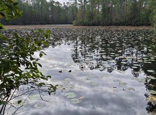 0 SE Dixie, East Palatka, FL 32131