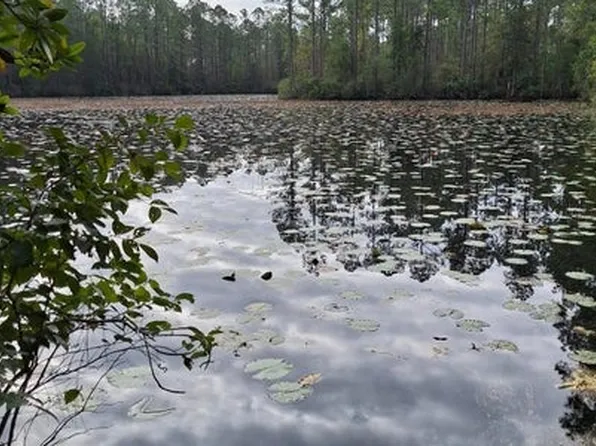 0 SE Dixie, East Palatka, FL 32131