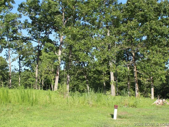Lots 62&63 Osage Ave, Gravois Mills, MO 65037