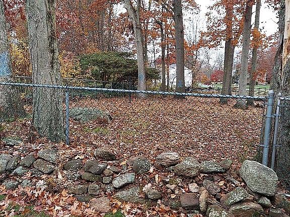 Backyard view from driveway