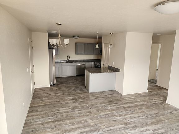 Livingroom and kitchen