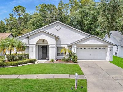 18315 Cypress Stand Cir, Tampa, FL, 33647